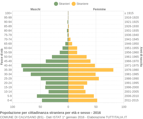 Grafico cittadini stranieri - Calvisano 2016