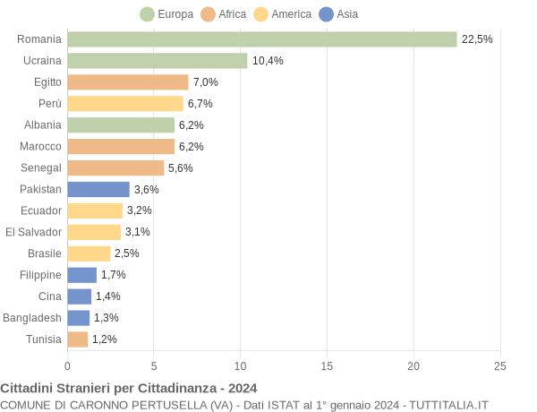 Grafico cittadinanza stranieri - Caronno Pertusella 2024