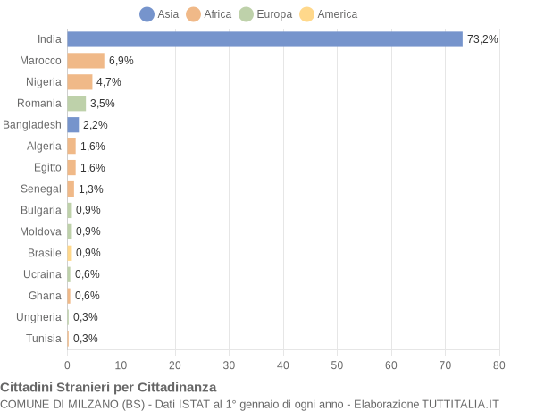 Grafico cittadinanza stranieri - Milzano 2009