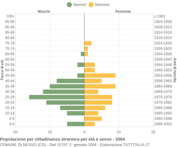 Grafico cittadini stranieri - Nesso 2004