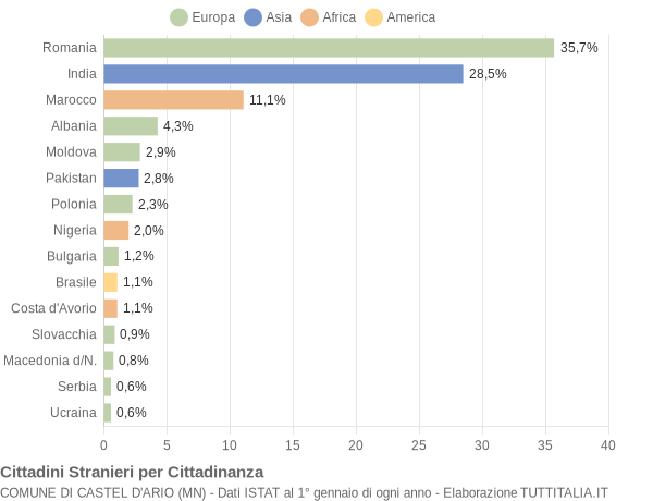 Grafico cittadinanza stranieri - Castel d'Ario 2019