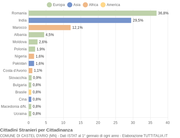 Grafico cittadinanza stranieri - Castel d'Ario 2020