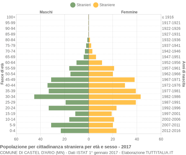 Grafico cittadini stranieri - Castel d'Ario 2017