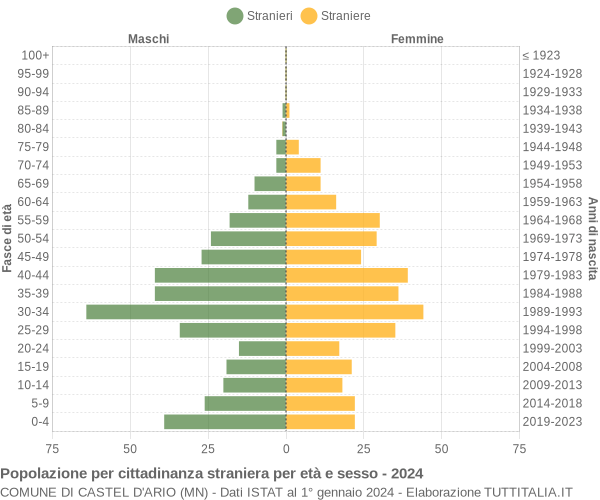 Grafico cittadini stranieri - Castel d'Ario 2024