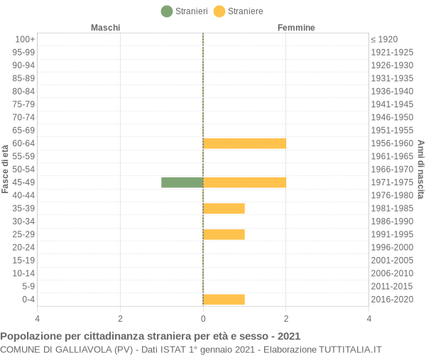 Grafico cittadini stranieri - Galliavola 2021