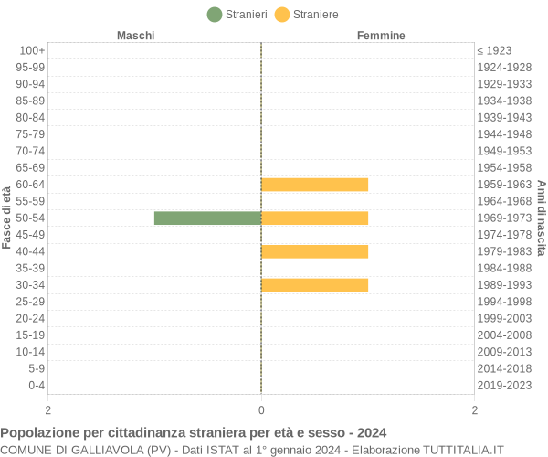 Grafico cittadini stranieri - Galliavola 2024