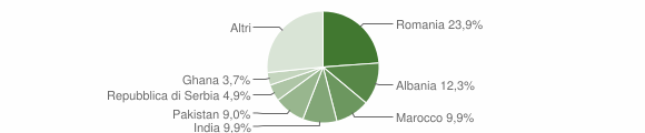 Grafico cittadinanza stranieri - Montichiari 2012