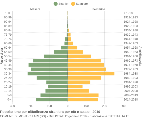 Grafico cittadini stranieri - Montichiari 2019