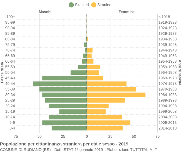 Grafico cittadini stranieri - Rudiano 2019