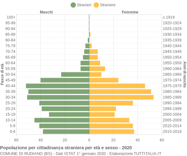 Grafico cittadini stranieri - Rudiano 2020