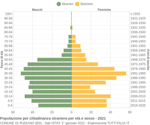 Grafico cittadini stranieri - Rudiano 2021