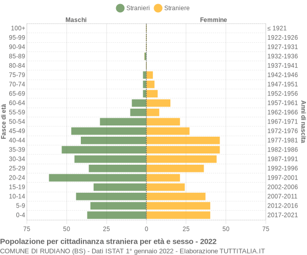 Grafico cittadini stranieri - Rudiano 2022