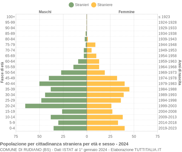 Grafico cittadini stranieri - Rudiano 2024