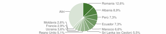 Grafico cittadinanza stranieri - Vedano al Lambro 2010