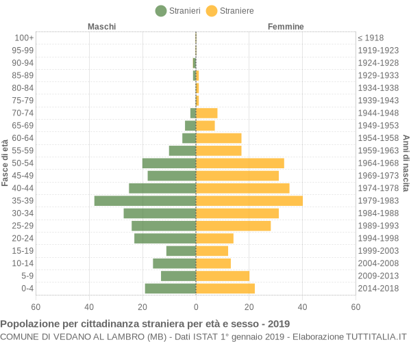 Grafico cittadini stranieri - Vedano al Lambro 2019