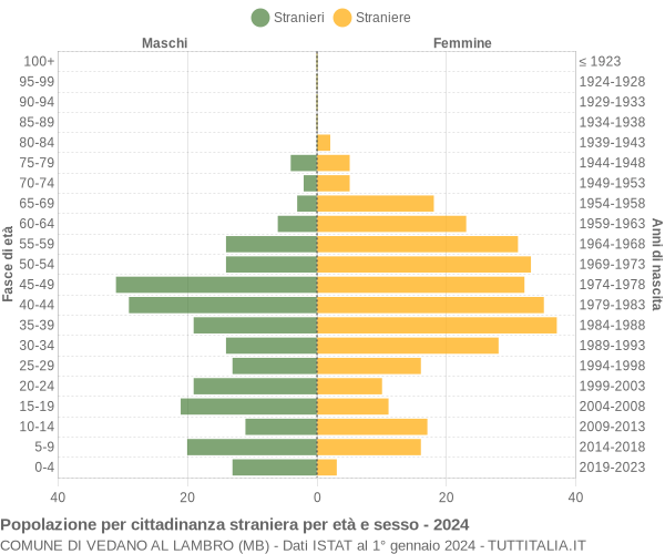 Grafico cittadini stranieri - Vedano al Lambro 2024