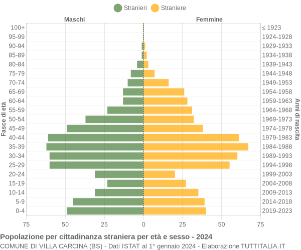 Grafico cittadini stranieri - Villa Carcina 2024