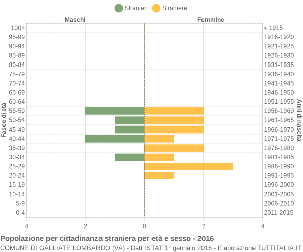 Grafico cittadini stranieri - Galliate Lombardo 2016