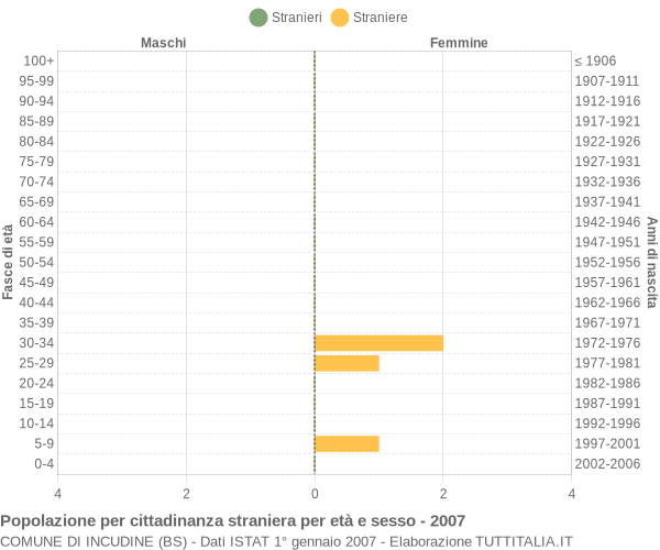 Grafico cittadini stranieri - Incudine 2007