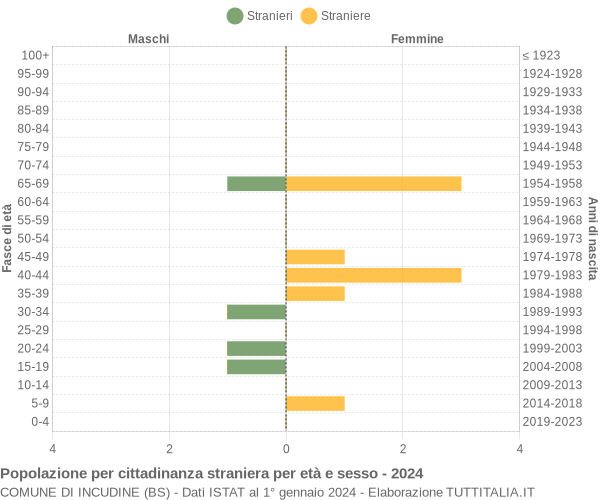 Grafico cittadini stranieri - Incudine 2024