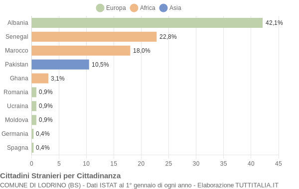 Grafico cittadinanza stranieri - Lodrino 2005