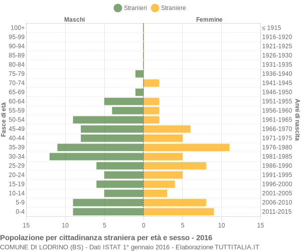 Grafico cittadini stranieri - Lodrino 2016