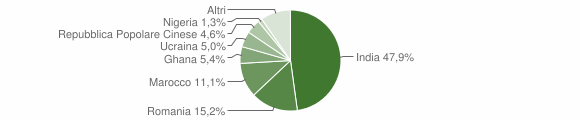 Grafico cittadinanza stranieri - Marcaria 2015