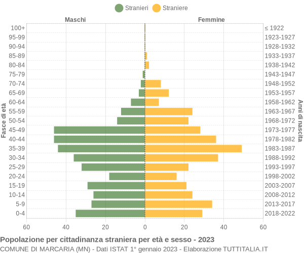 Grafico cittadini stranieri - Marcaria 2023