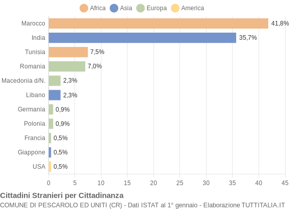 Grafico cittadinanza stranieri - Pescarolo ed Uniti 2010