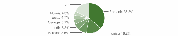 Grafico cittadinanza stranieri - Secugnago 2016