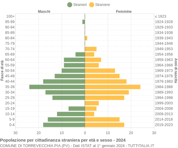 Grafico cittadini stranieri - Torrevecchia Pia 2024