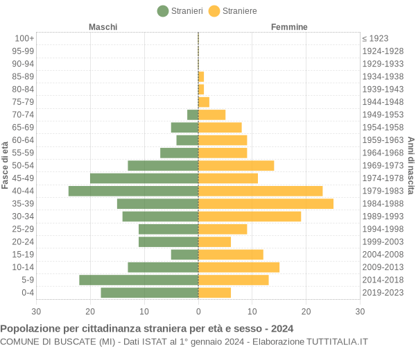 Grafico cittadini stranieri - Buscate 2024