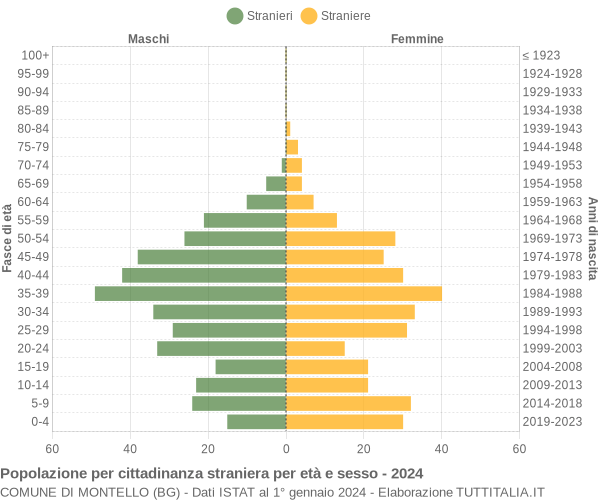 Grafico cittadini stranieri - Montello 2024