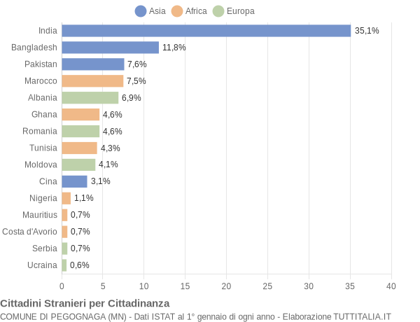 Grafico cittadinanza stranieri - Pegognaga 2013