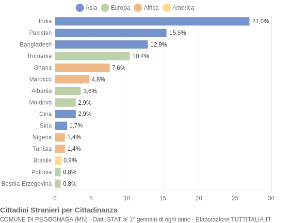 Grafico cittadinanza stranieri - Pegognaga 2020