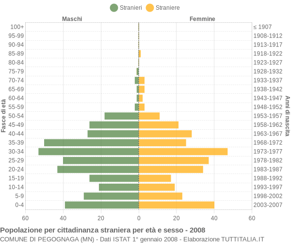 Grafico cittadini stranieri - Pegognaga 2008