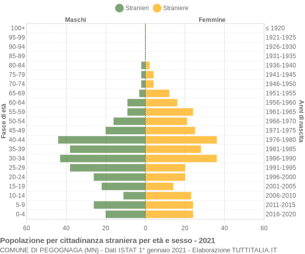 Grafico cittadini stranieri - Pegognaga 2021