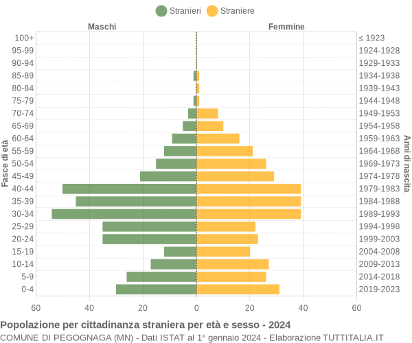 Grafico cittadini stranieri - Pegognaga 2024