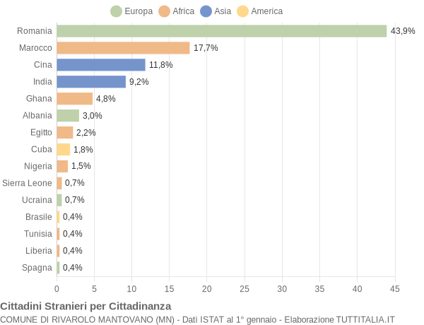 Grafico cittadinanza stranieri - Rivarolo Mantovano 2010