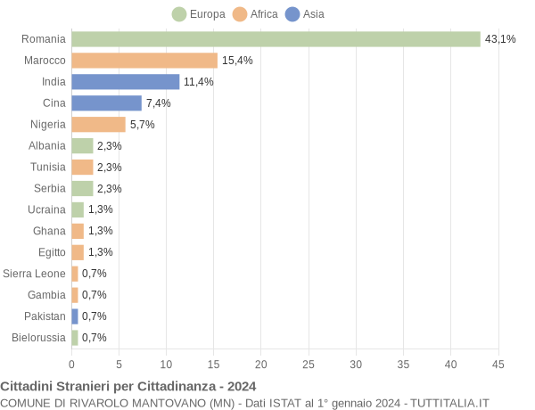 Grafico cittadinanza stranieri - Rivarolo Mantovano 2024