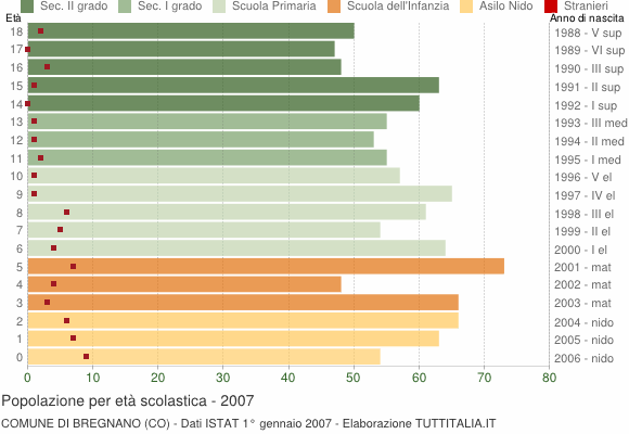 Grafico Popolazione in età scolastica - Bregnano 2007