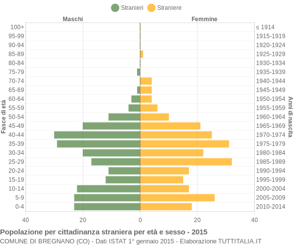 Grafico cittadini stranieri - Bregnano 2015