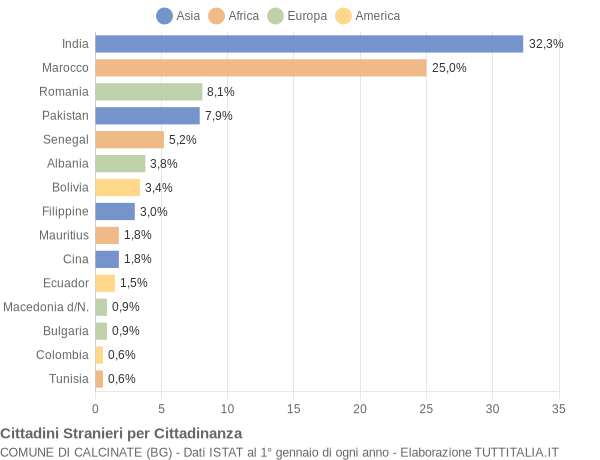 Grafico cittadinanza stranieri - Calcinate 2006