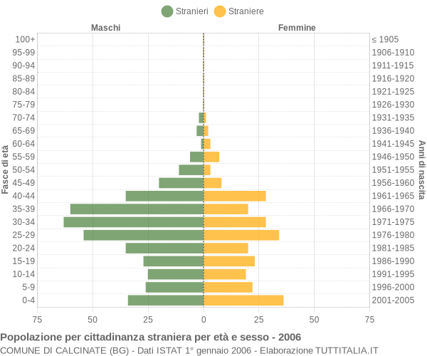 Grafico cittadini stranieri - Calcinate 2006