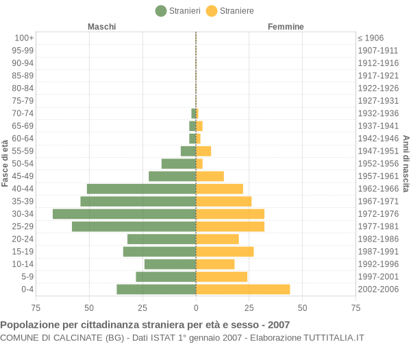Grafico cittadini stranieri - Calcinate 2007