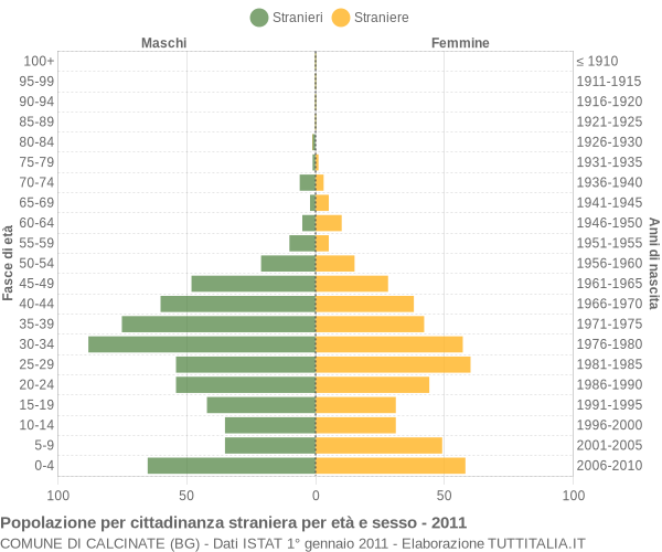 Grafico cittadini stranieri - Calcinate 2011