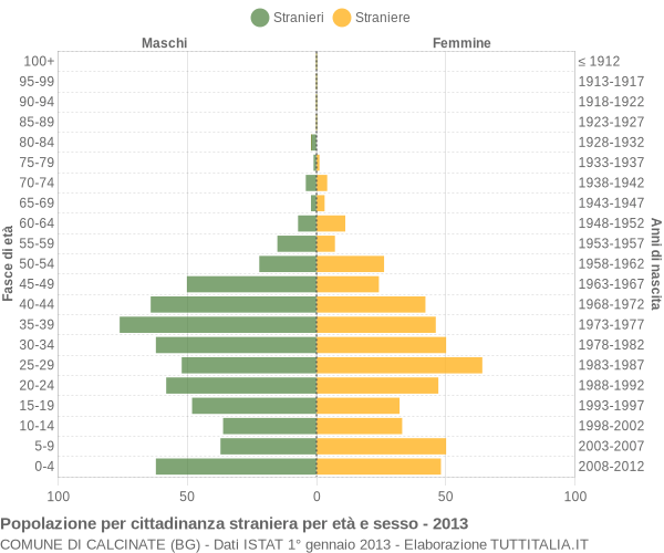 Grafico cittadini stranieri - Calcinate 2013