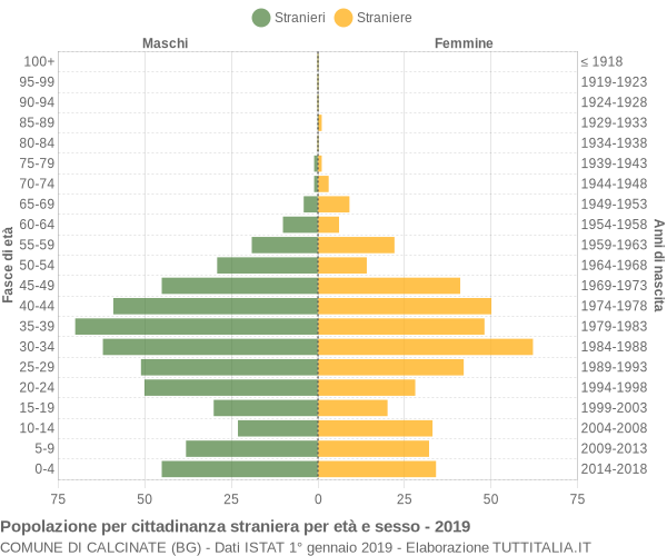 Grafico cittadini stranieri - Calcinate 2019