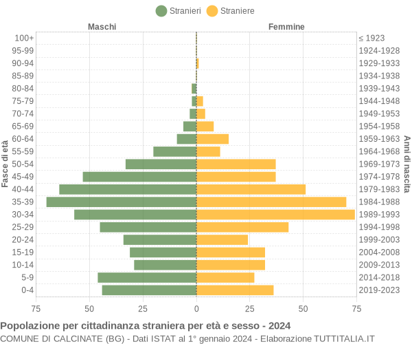 Grafico cittadini stranieri - Calcinate 2024