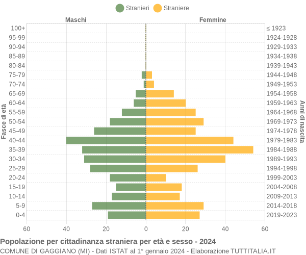 Grafico cittadini stranieri - Gaggiano 2024